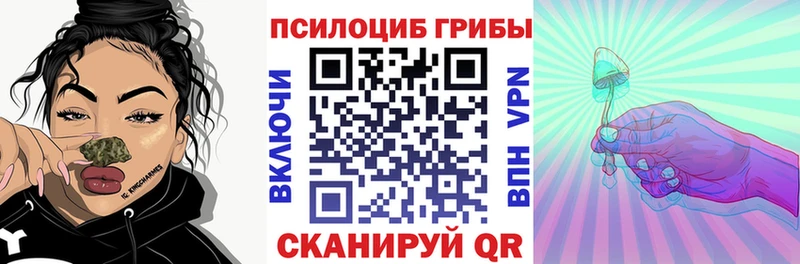 Галлюциногенные грибы GOLDEN TEACHER  Купить где  Медногорск 
