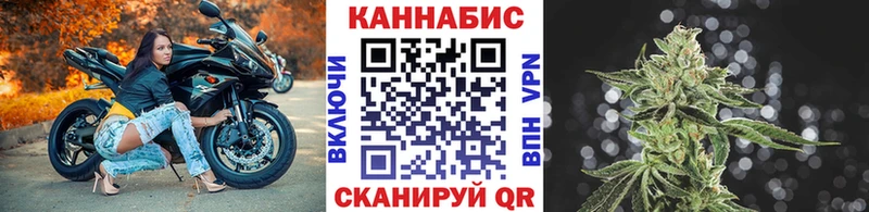 Купить где  Медногорск  Каннабис семена 